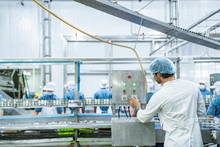scientist,food,processing,plant,supervisor,examines,industrial,control,systems,,overseeing